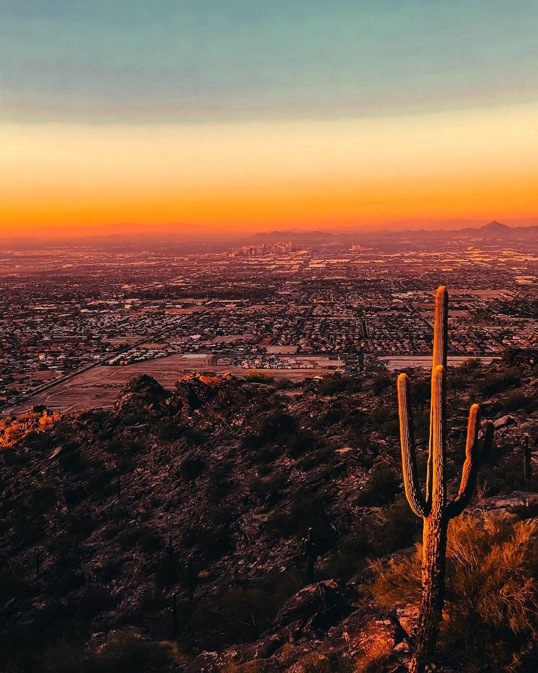 Arizona 桌布 壁紙 — 一棵孤獨的薩瓜羅仙人掌矗立在岩石沙漠山脊上，俯瞰著沐浴在溫暖夕陽色調中的廣闊城市。