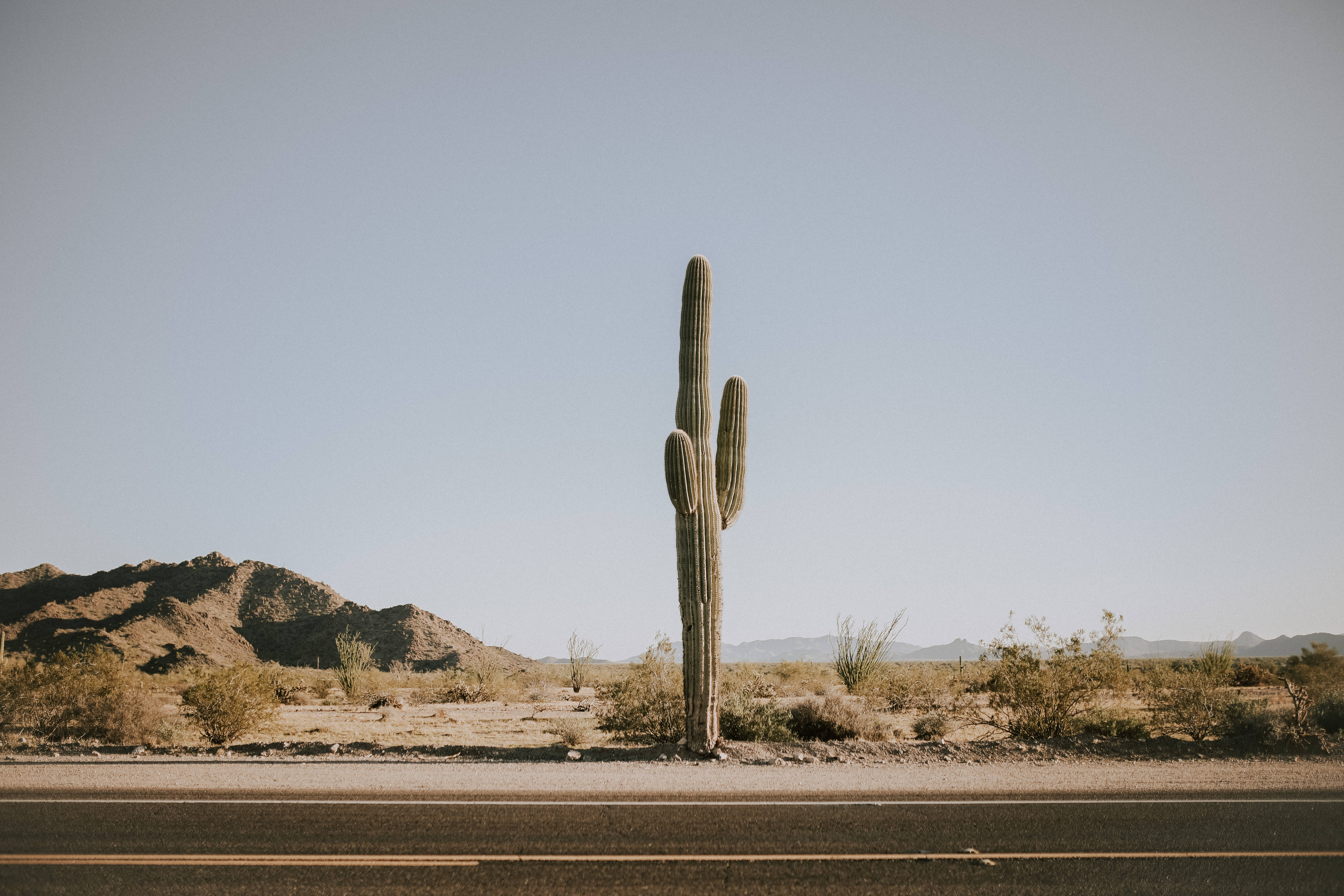 Cactus 桌布 壁紙 — 一棵孤獨的薩瓜羅仙人掌高高聳立在沙漠公路旁，遠處有山脈，天空清澈湛藍。
