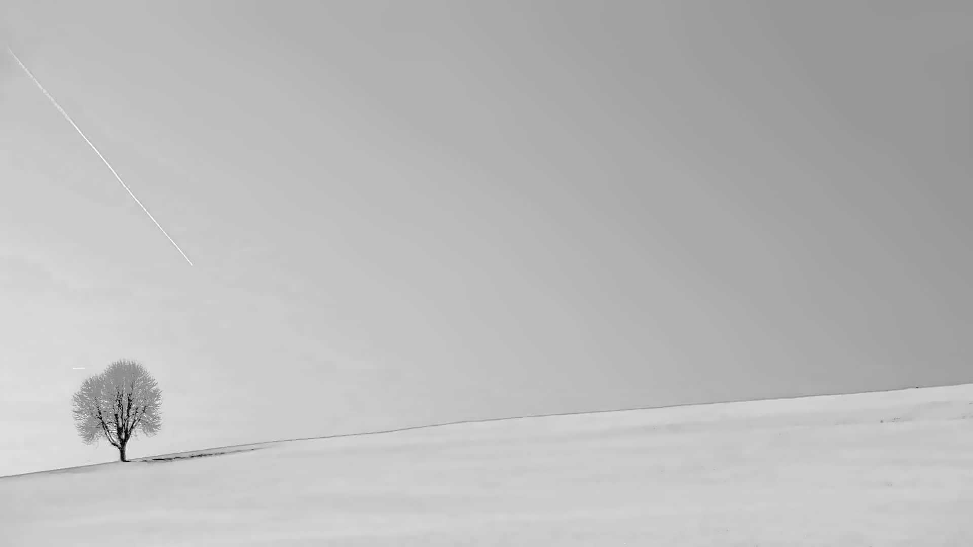 hill view 桌布 壁紙 — 一棵孤獨的裸樹矗立在白雪覆蓋的山丘上，廣闊的灰色天空有一條對角線的凝結尾跡。