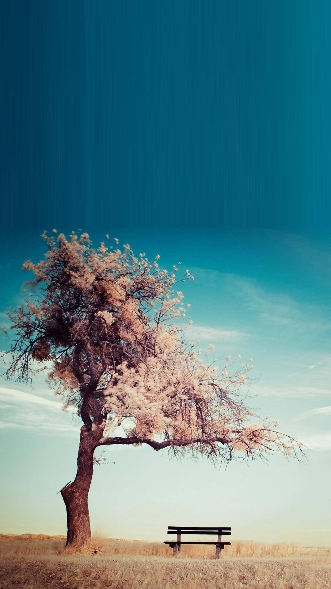 Smartphone 桌布 壁紙 — 一棵孤獨的開花樹立在田野的長椅旁，上方是漸變的藍天。