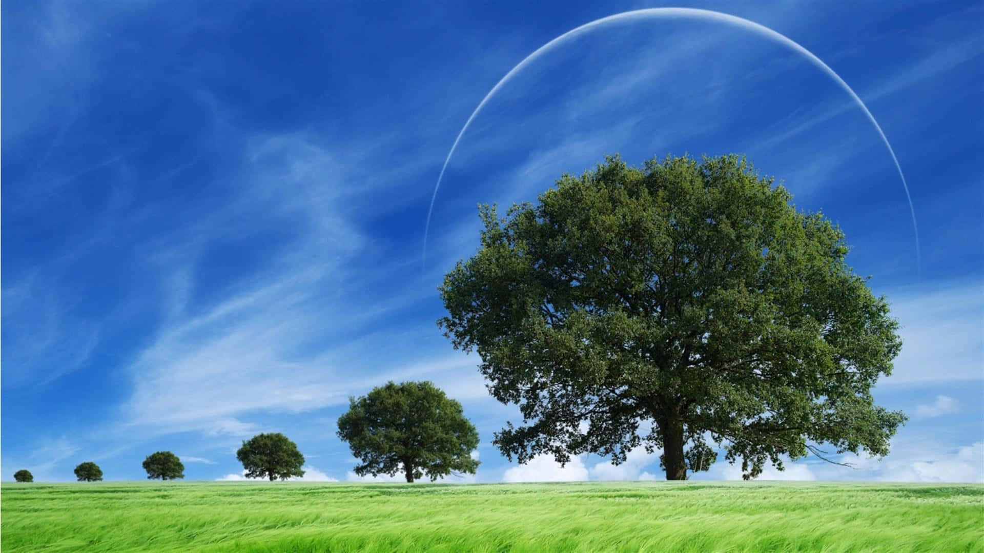 trees 桌布 壁紙 — 一棵孤獨的雄偉樹木矗立在充滿活力的綠色田野中，上方是湛藍的天空，有一道發光的彎月弧。