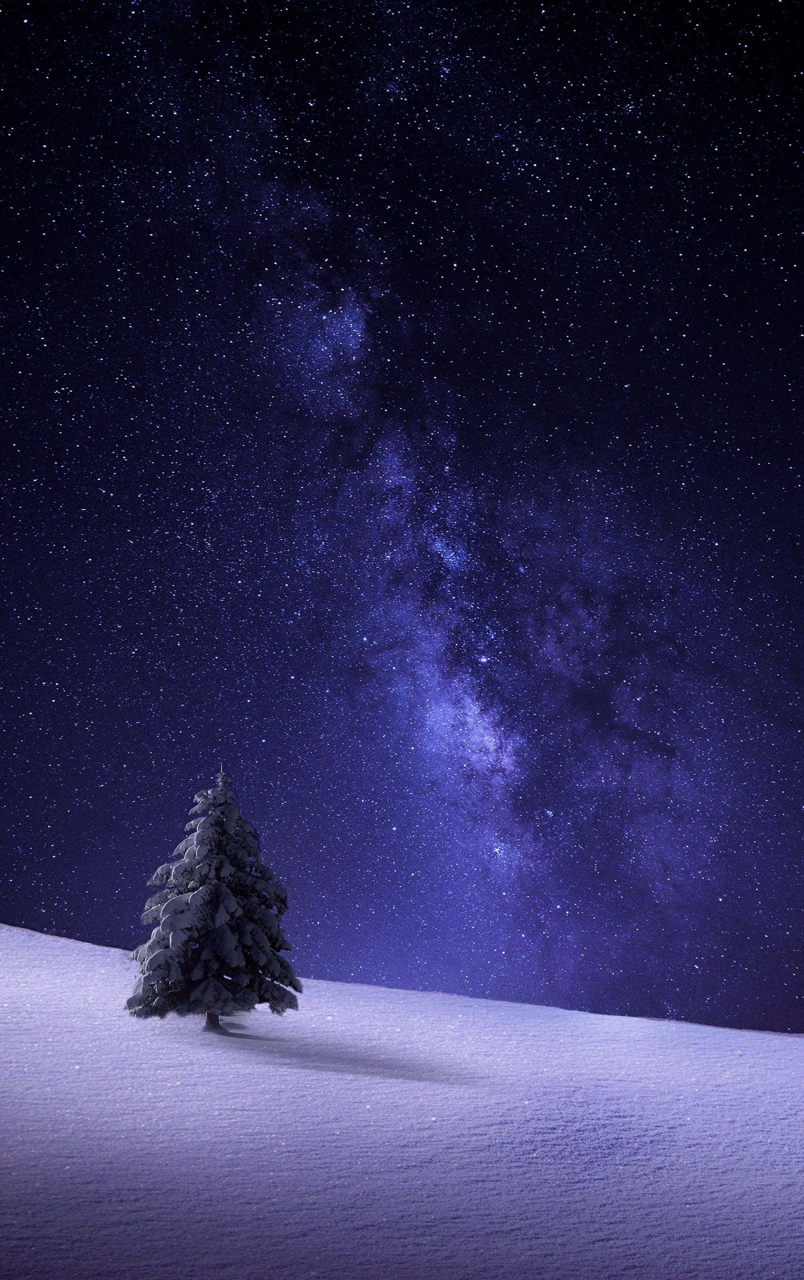 桌布 壁紙 — 一棵孤獨的雪松樹立在雪丘上，上方是充滿活力的紫色星空，銀河拱起。