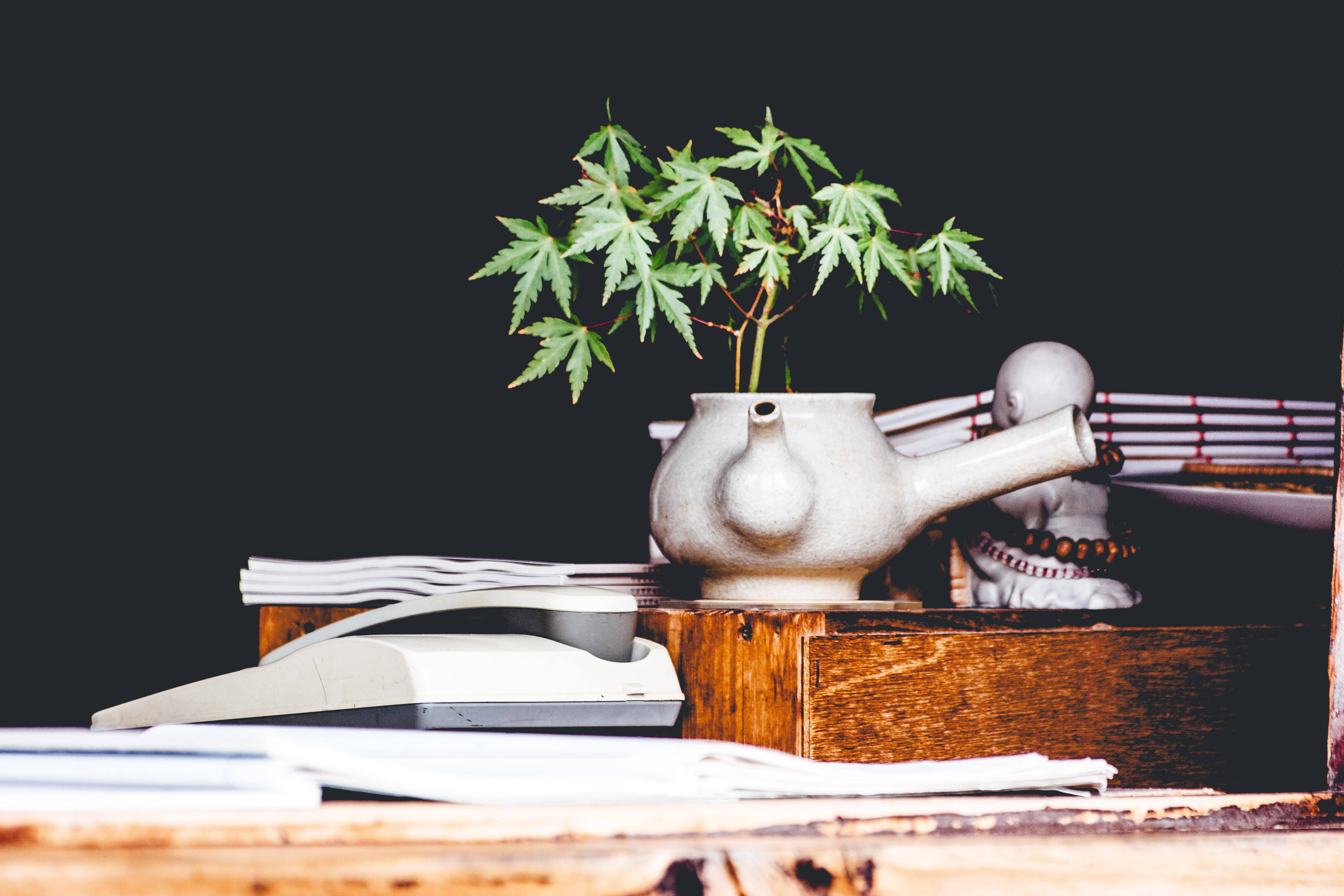 大麻 桌布 壁紙 — 一棵小綠楓樹植物放在陶瓷茶壺中，置於木桌上，旁邊有文件和一部復古計算機，背景為深色。