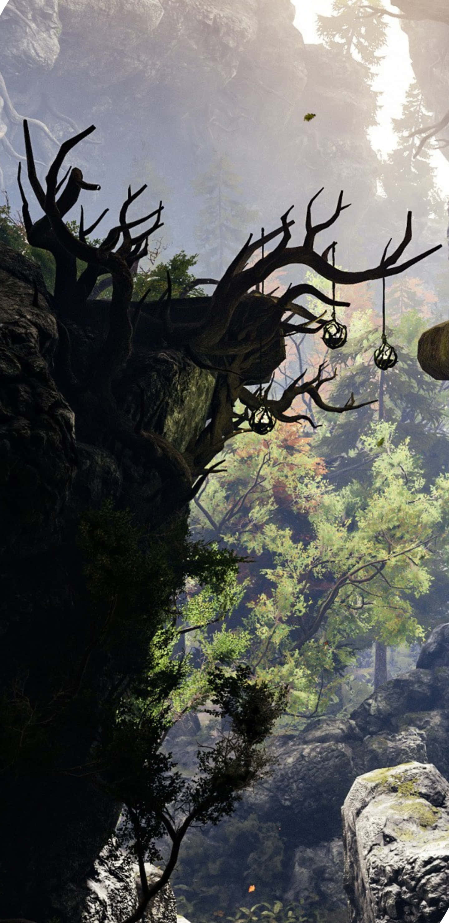 Pixel 3xl Greedfall 桌布 壁紙 — 一棵巨大的多節樹上掛著燈籠，棲息在懸崖上，俯瞰著陽光明媚的森林山谷。