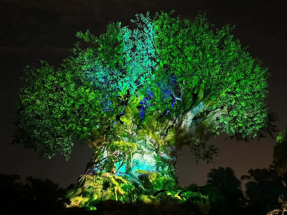 Tree Of Life 桌布 壁紙 — 一棵巨大的樹在黑暗的夜空中被鮮豔的綠色和藍色燈光照亮。