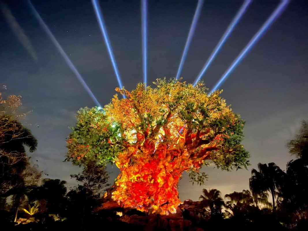 Tree Of Life 桌布 壁紙 — 一棵巨大的照明樹在戲劇性的藍色聚光燈穿透夜空下，閃耀著火橙色和金色的葉子。