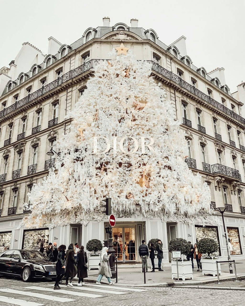 桌布 壁紙 — 一棵巨大的白色聖誕樹，飾有發光的燈光和「DIOR」品牌標誌，自豪地矗立在宏偉的巴黎建築前，行人漫步而過。
