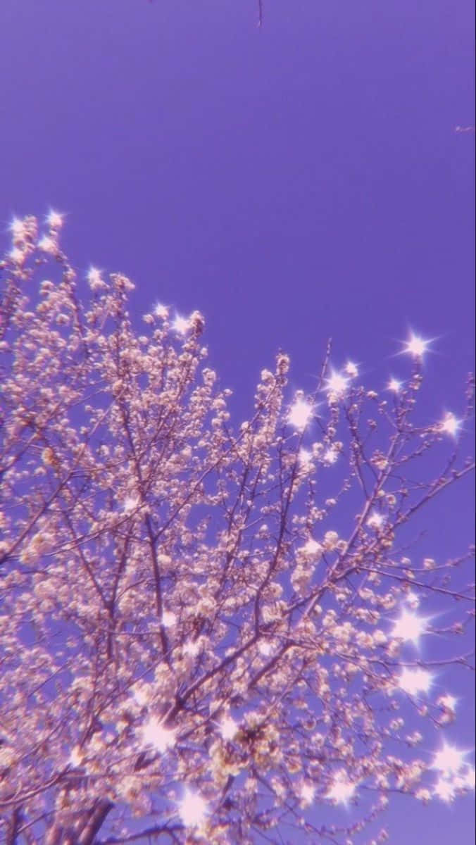 Lock Screen iPhone 桌布 壁紙 — 一棵帶有精緻花朵的樹木，在充滿活力的紫色天空映襯下，陽光穿過樹枝產生閃爍的星爆效果。
