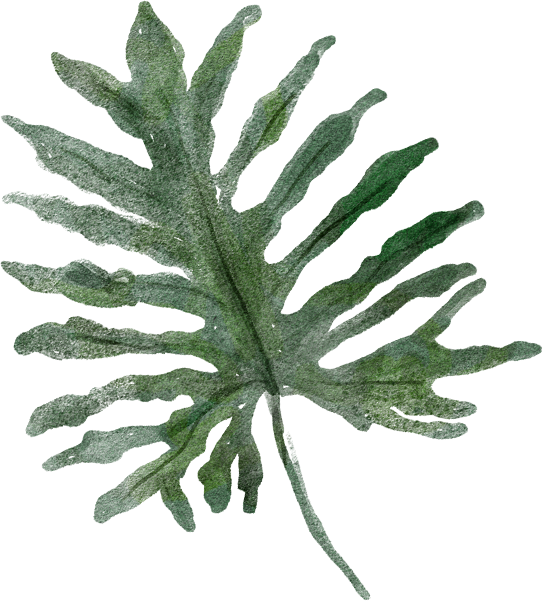 Daun 桌布 壁紙 — 一棵帶有綠色葉子和莖的分形植物從重複綠色形狀的幾何網格中出現。