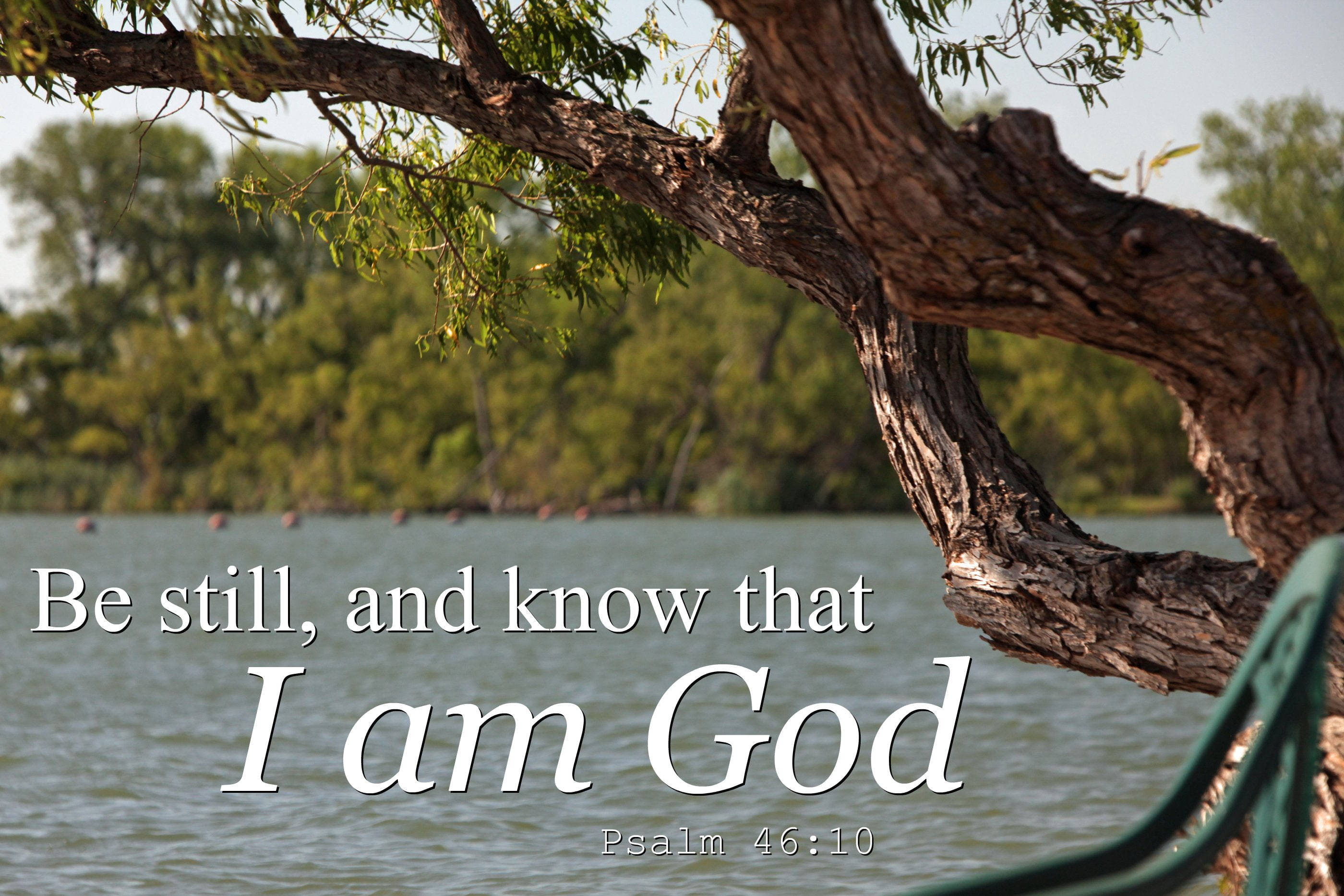 Bible Quotes 桌布 壁紙 — 一棵扭曲的樹枝拱起在平靜的水面上，配有一個綠色長椅和聖經文字疊加。
