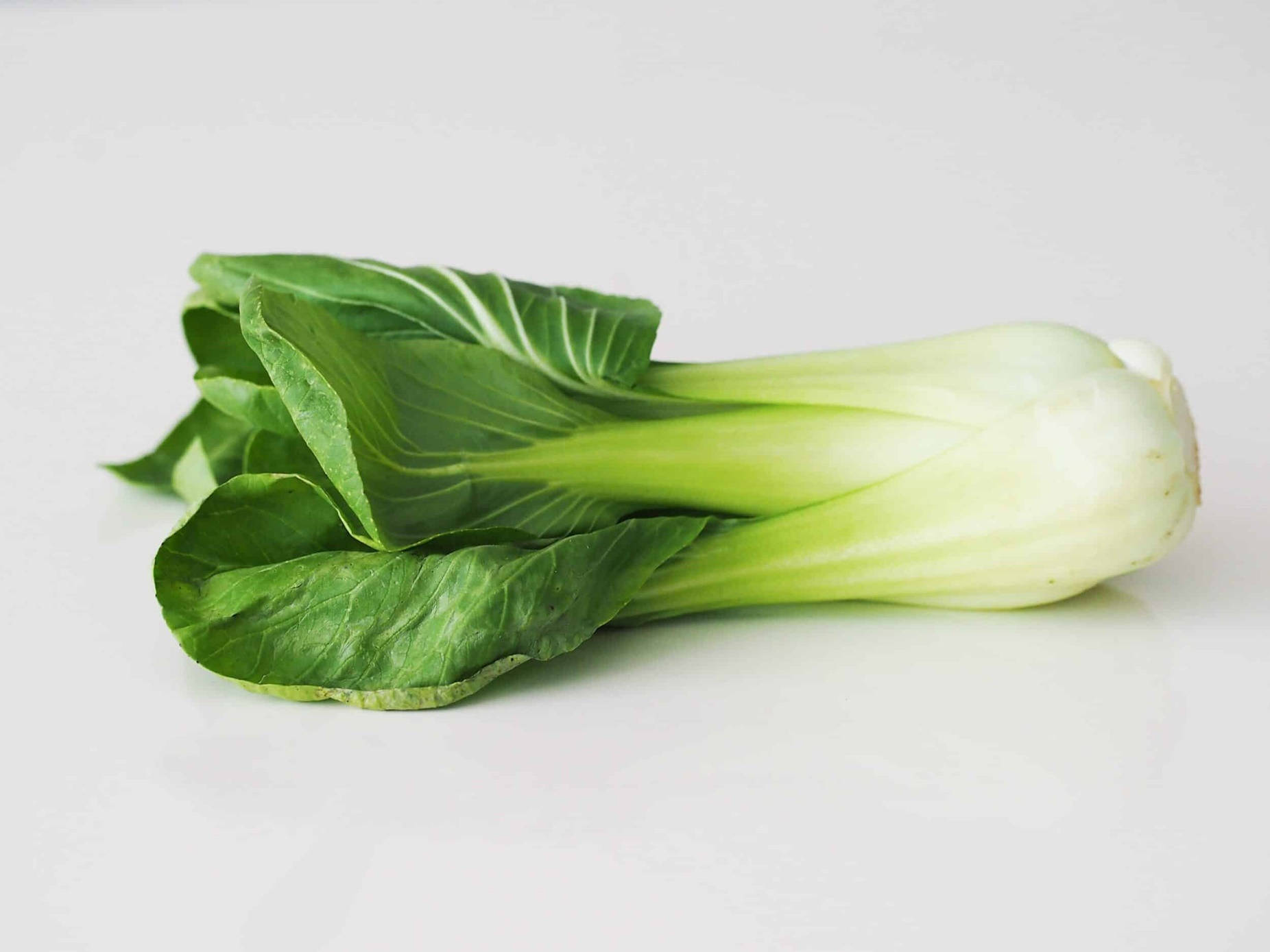 Vegetables 桌布 壁紙 — 一棵新鮮的青江菜，帶有鮮綠色的葉子和淡白色的莖，放在乾淨的白色表面上。