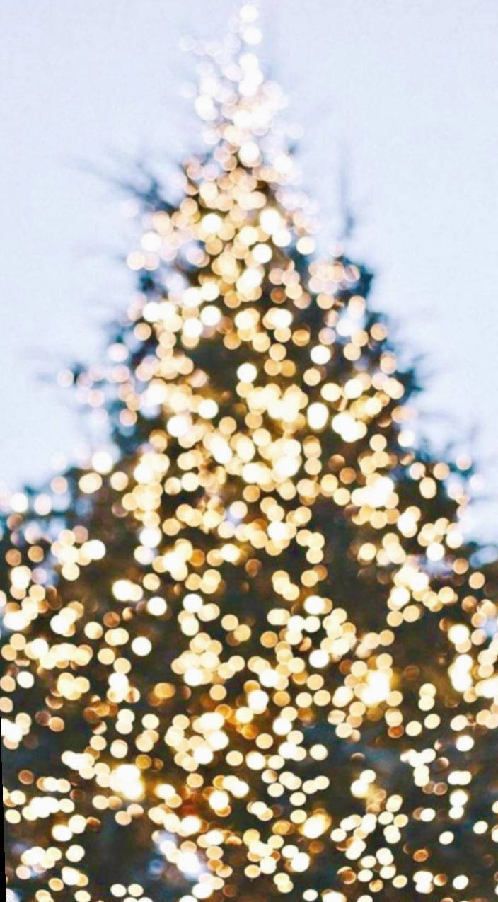 Christmas Lights Aesthetic 桌布 壁紙 — 一棵柔和模糊的聖誕樹，在淡色天空下飾以閃爍的金色燈光。