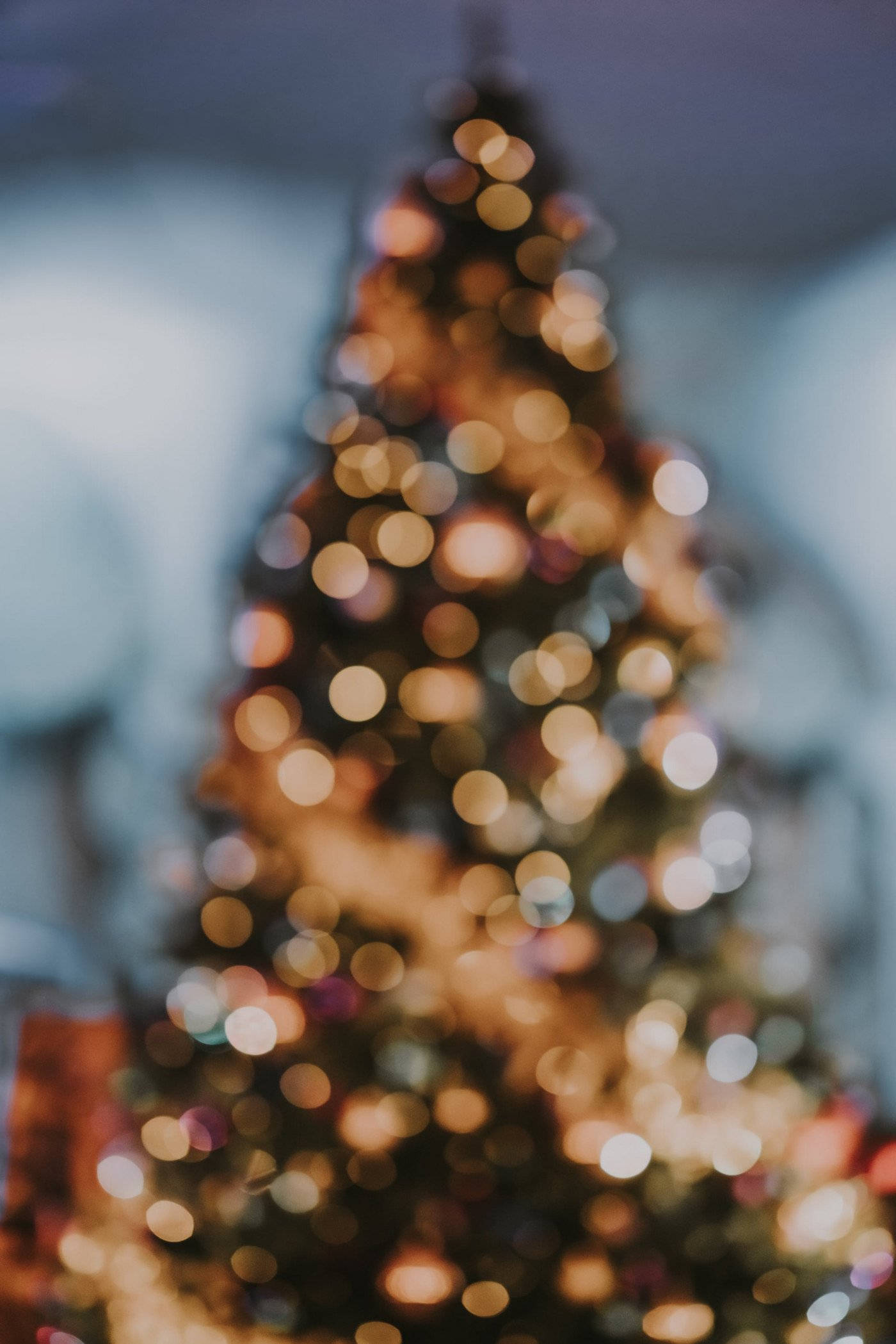 Christmas Lights Aesthetic 桌布 壁紙 — 一棵柔和模糊的聖誕樹，在清涼的藍色背景上閃耀著溫暖的金色散景燈光。