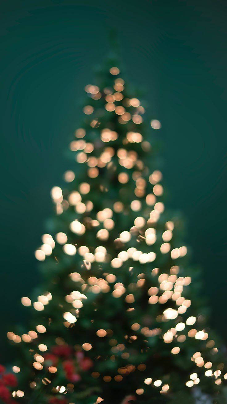 Christmas Lights Aesthetic 桌布 壁紙 — 一棵柔和模糊的聖誕樹，裝飾著閃爍的金色燈光，背景是深藍綠色。