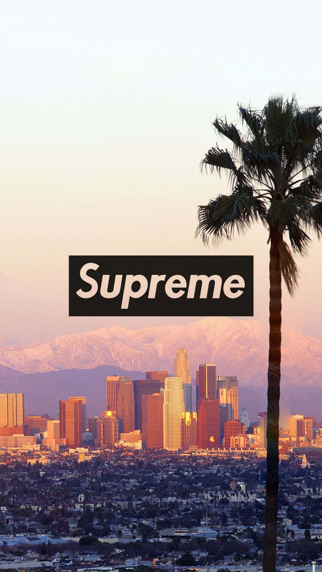 Supreme iPhone 桌布 壁紙 — 一棵棕櫚樹框住了洛杉磯天際線的日落景色，背景是白雪覆蓋的山脈，並疊加了Supreme標誌。