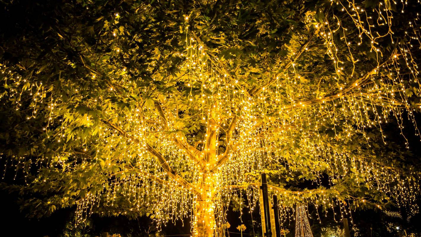 Fairy Lights Aesthetic 桌布 壁紙 — 一棵樹裝飾著層疊的金色仙女燈，在黑暗的夜空中溫暖地閃耀。
