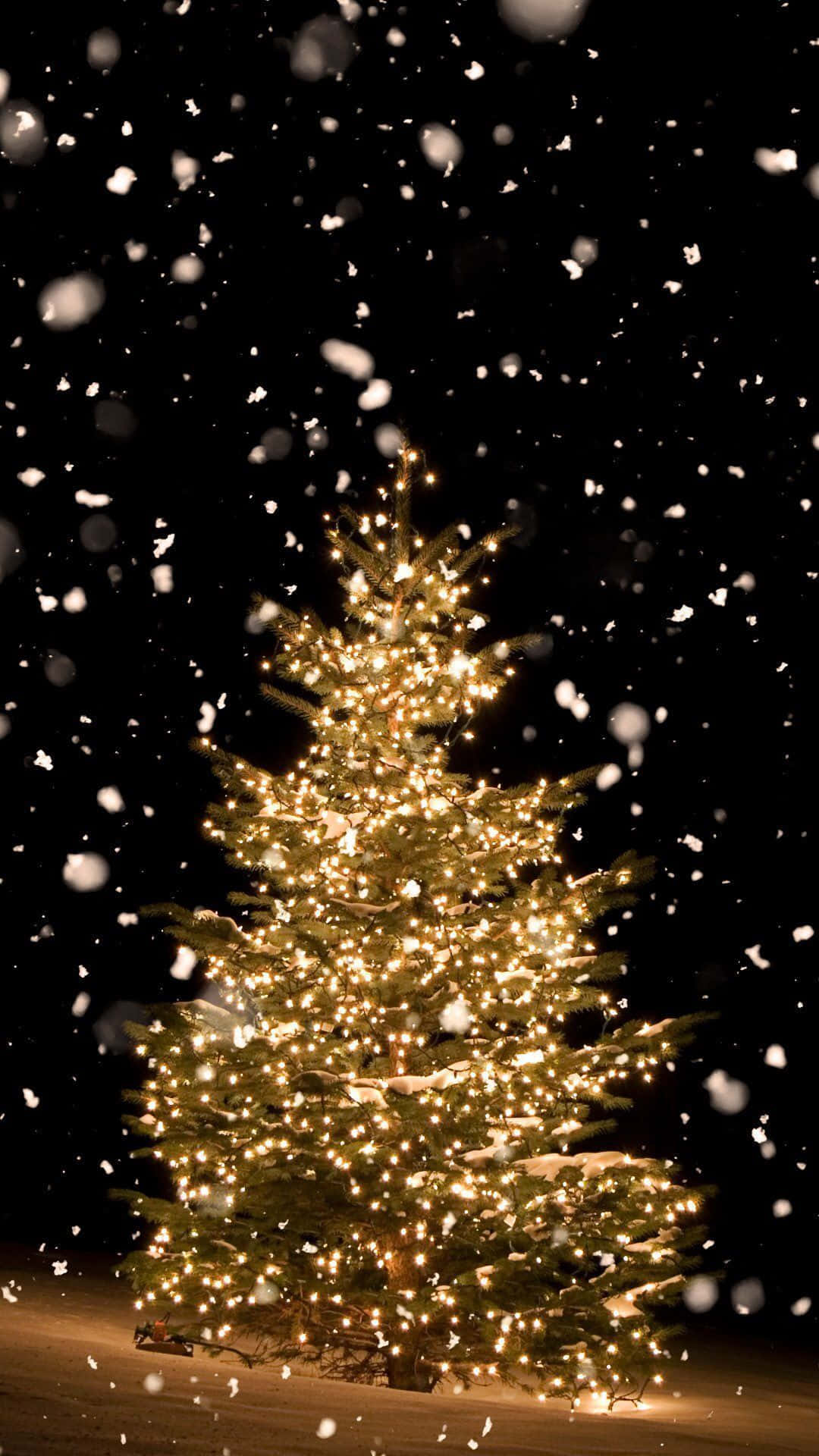 Aesthetic Christmas Tree 桌布 壁紙 — 一棵溫暖照亮的聖誕樹獨自站在飄落的雪中，背景是漆黑的夜空。