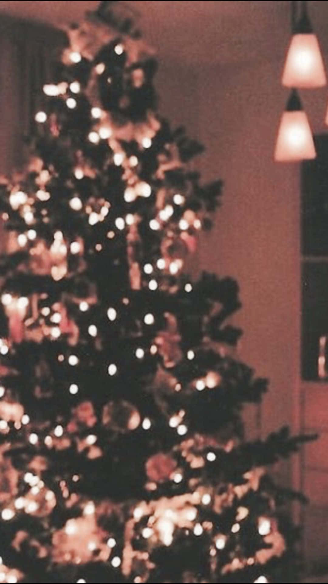 桌布 壁紙 — 一棵溫暖照明的聖誕樹，閃爍的燈光，掛在吊燈下的舒適室內環境中。