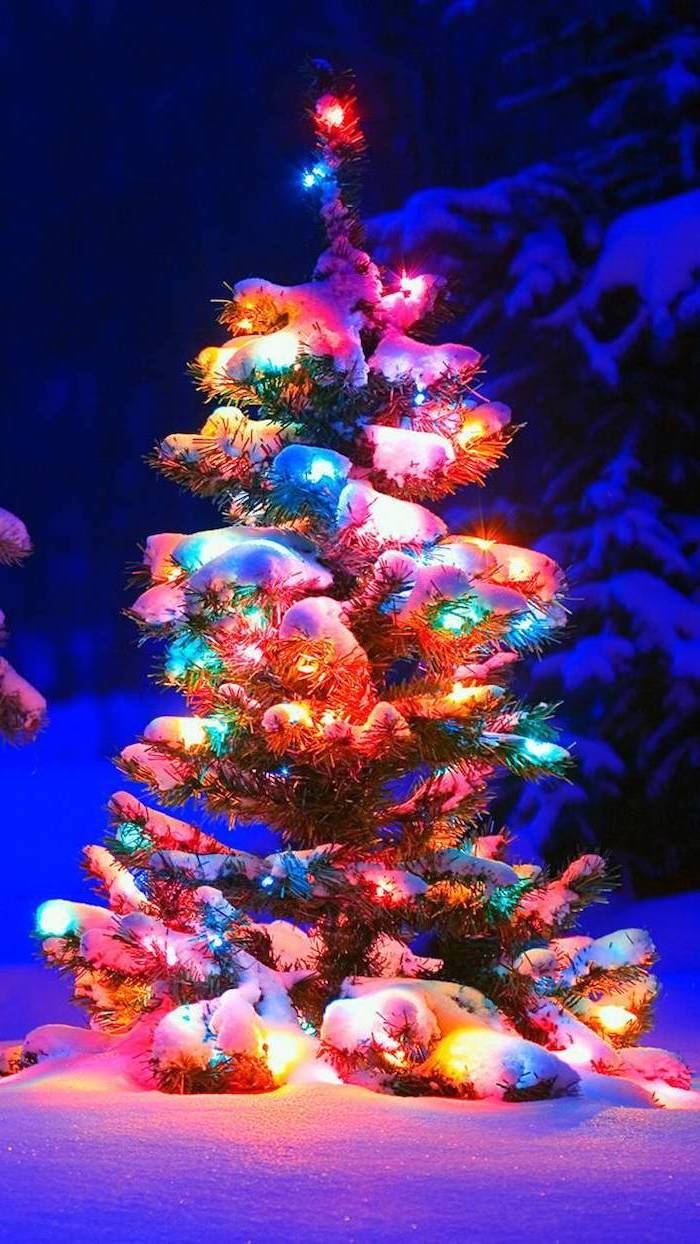 Christmas Lights Aesthetic 桌布 壁紙 — 一棵灑滿雪花的常青樹在深藍色的冬夜中閃爍著鮮豔多彩的燈光。