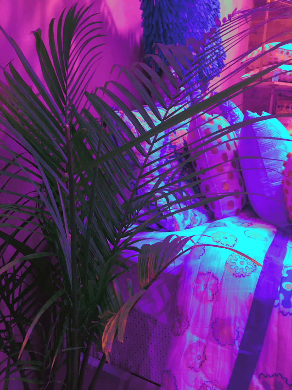 Chill Aesthetic 桌布 壁紙 — 一棵熱帶棕櫚植物站在一張圖案沙發旁邊，沐浴在充滿活力的紫色和粉紅色霓虹燈光中。