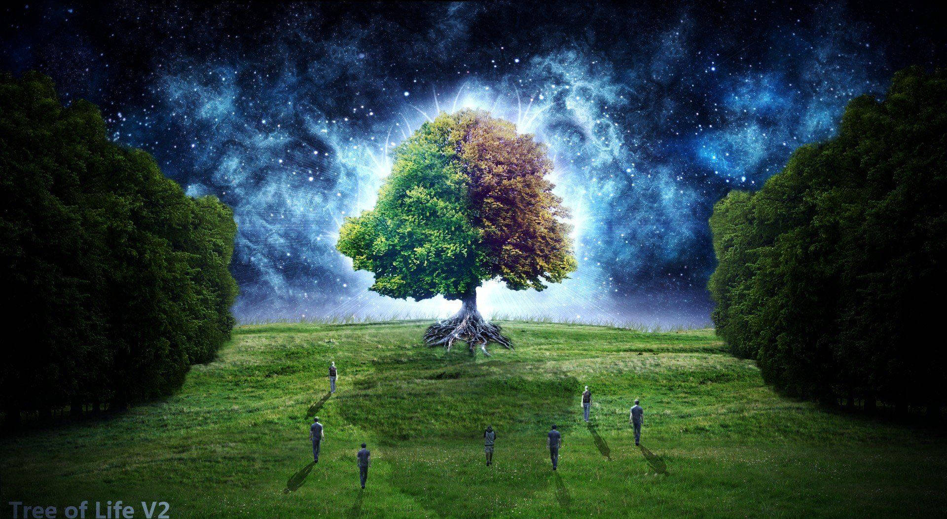 life 桌布 壁紙 — 一棵發光的宇宙樹，帶有綠色和秋天的葉子，站在長滿草的山丘上，下方是繁星點點的星雲天空，小小的人影正走向它。