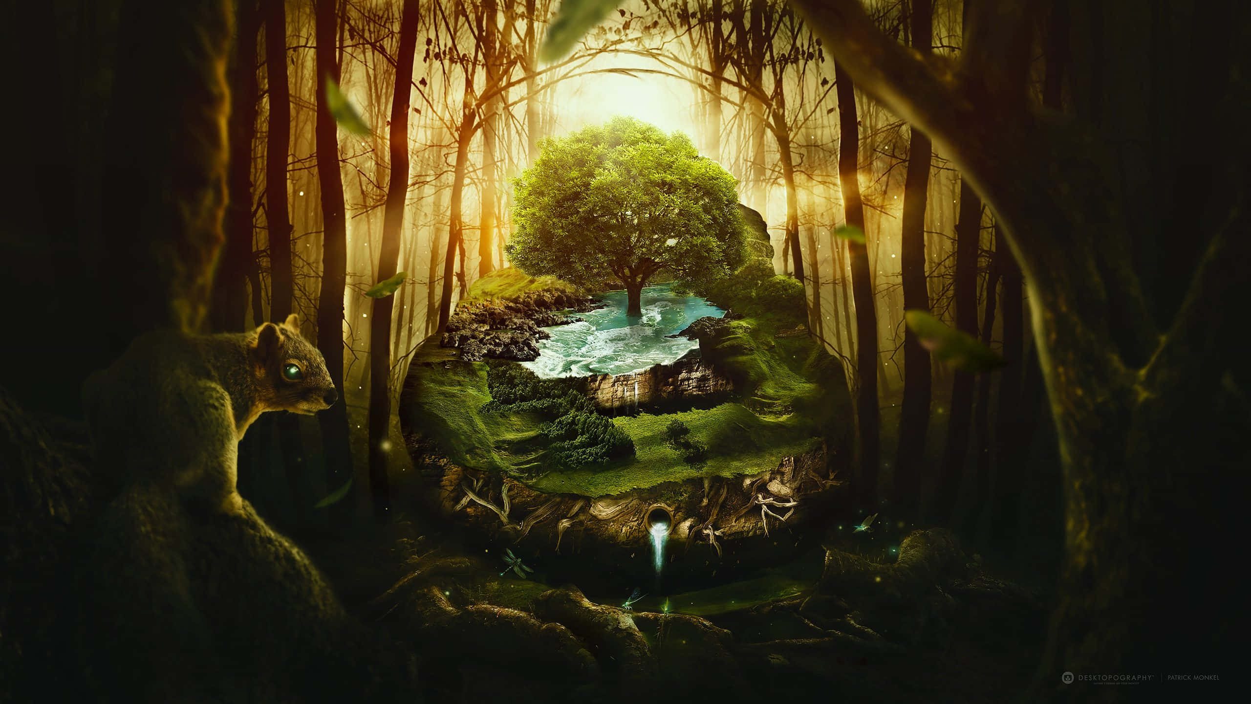 森林 桌布 壁紙 — 一棵發光的樹坐落於黑暗森林中的浮空島上，一隻松鼠從陰影中觀望。