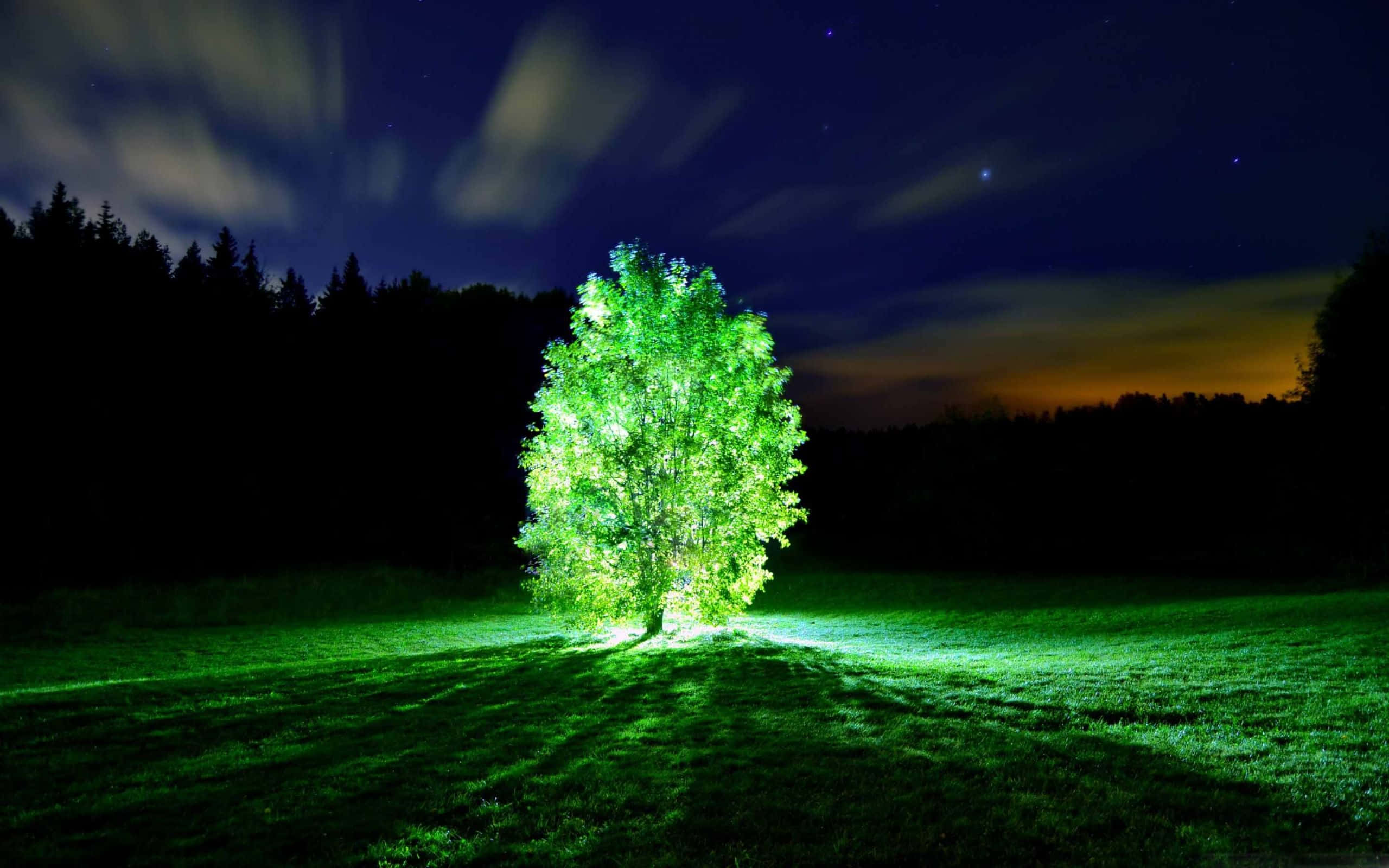 glow 桌布 壁紙 — 一棵發光的綠色樹木獨自矗立在黑暗的田野中，星空下雲彩流動。