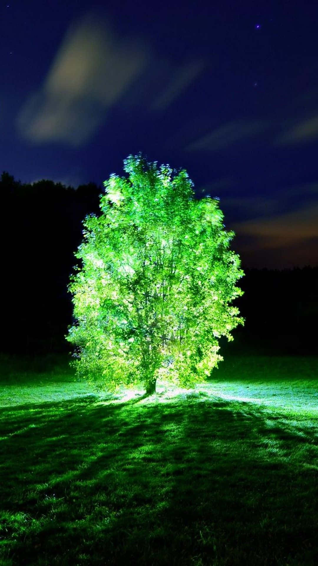 glow 桌布 壁紙 — 一棵發光的綠色樹木獨自聳立在草地上，夜空繁星點點，雲朵飄移。