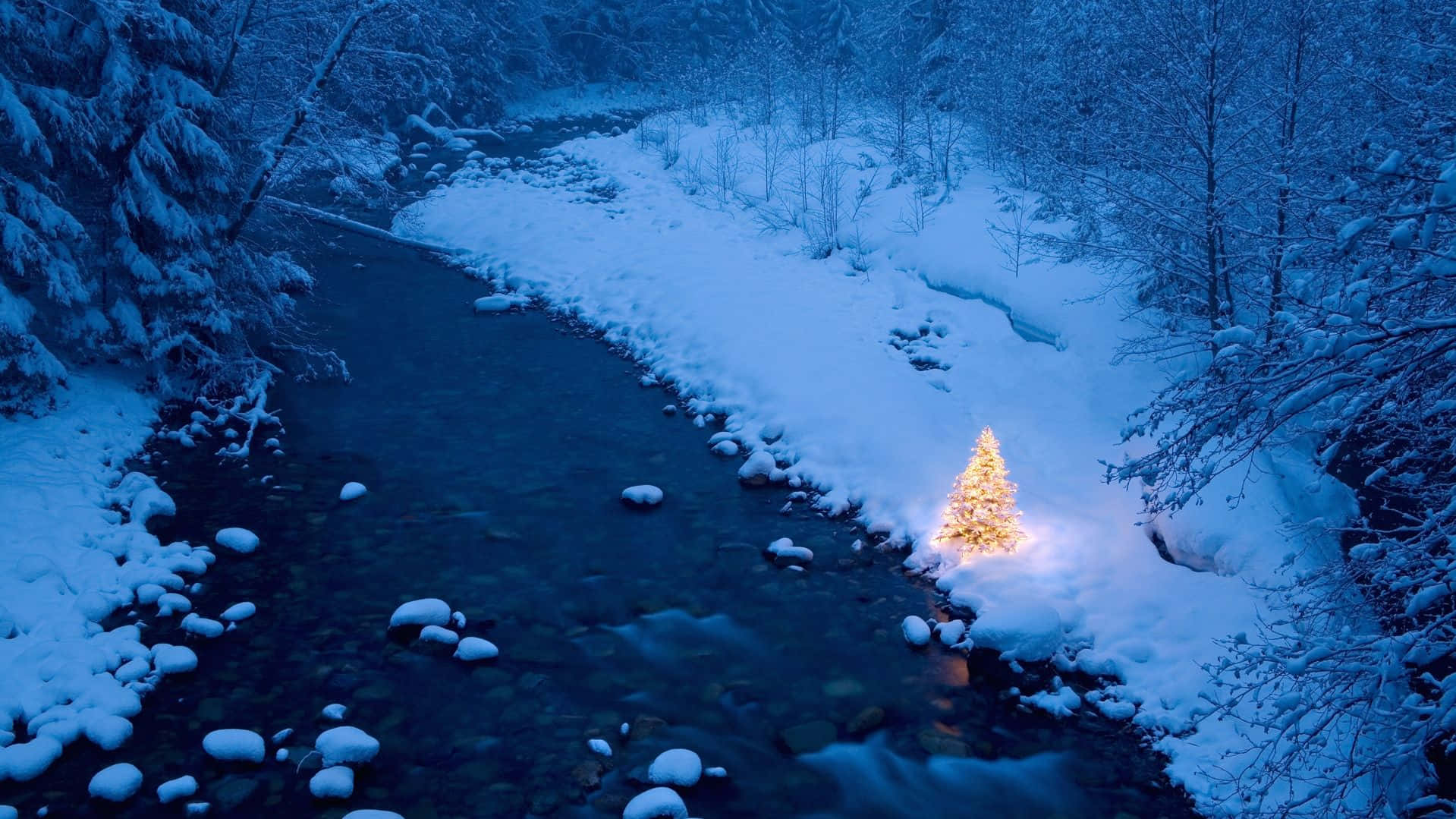 森林 桌布 壁紙 — 一棵發光的聖誕樹獨自矗立在雪覆蓋的河邊，夜晚寧靜的冬季森林中。
