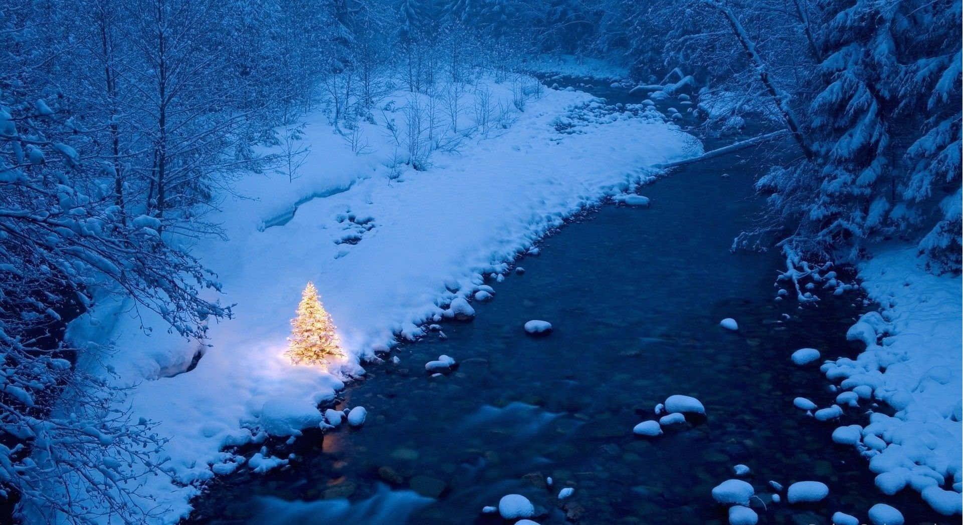 Winter Blues 桌布 壁紙 — 一棵發光的聖誕樹矗立在夜間寧靜冬日森林中積雪覆蓋的河流旁。