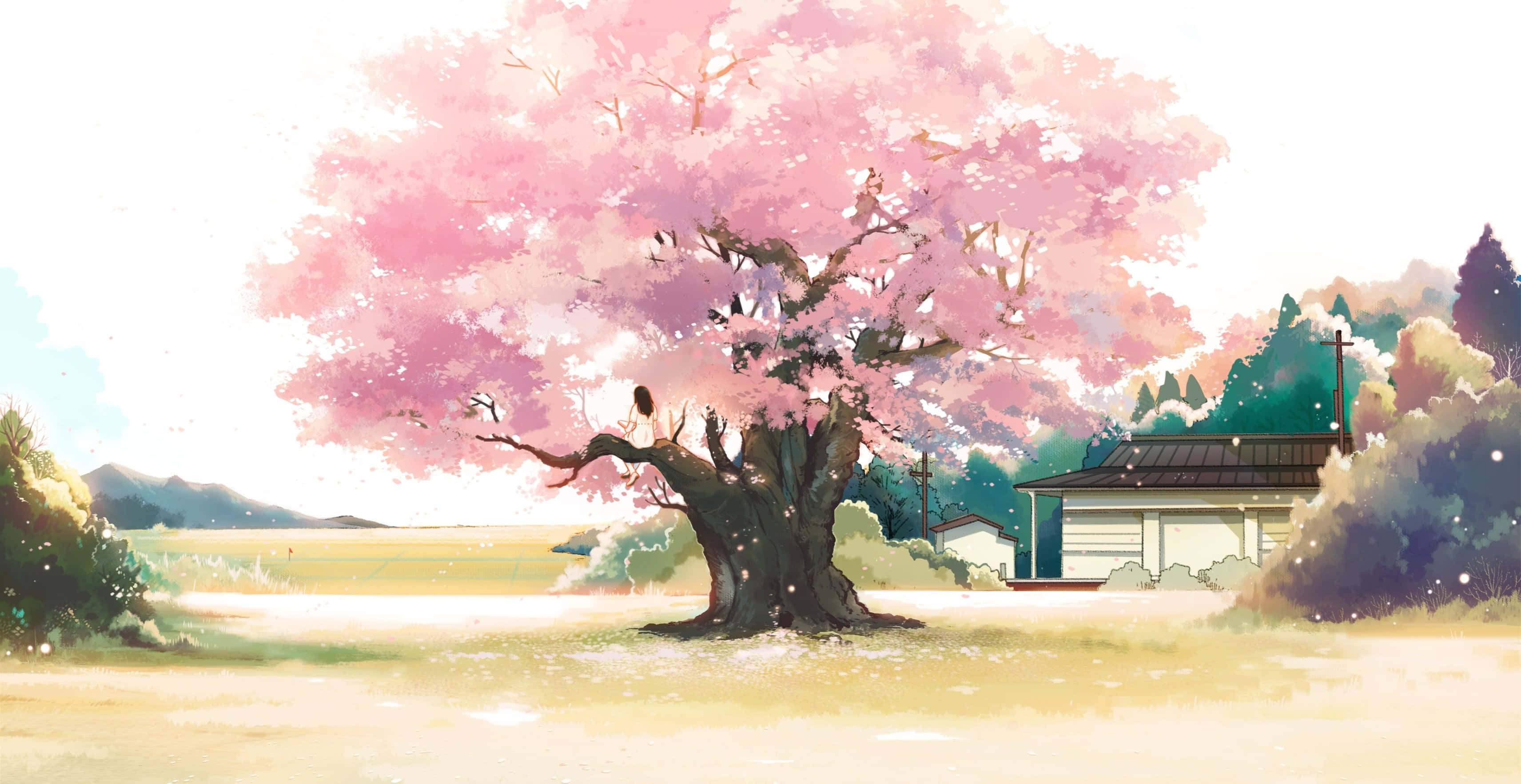 Pink Anime 桌布 壁紙 — 一棵盛開的櫻花樹，粉紅花瓣在柔和天空下輕輕飄過寧靜的鄉村景色。