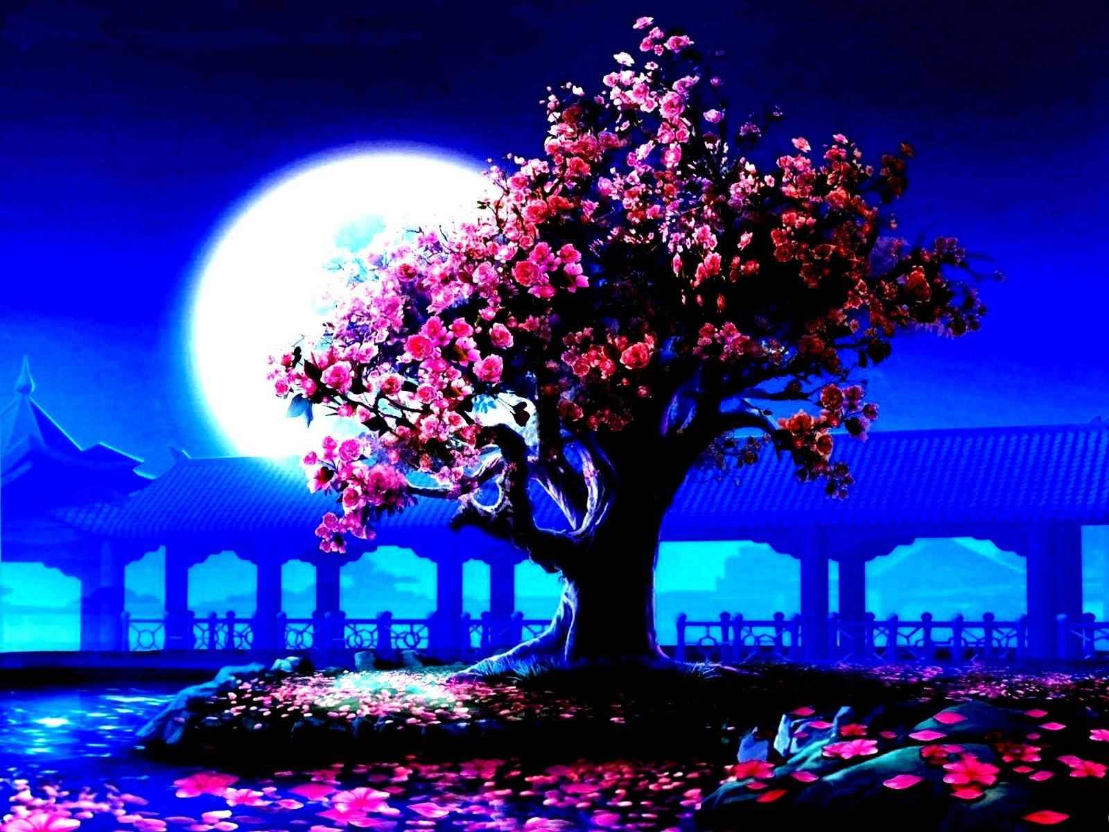 Moonlight 桌布 壁紙 — 一棵盛開的櫻花樹在滿月下發光，旁邊是傳統亭台樓閣，位於寧靜的夜間花園中。