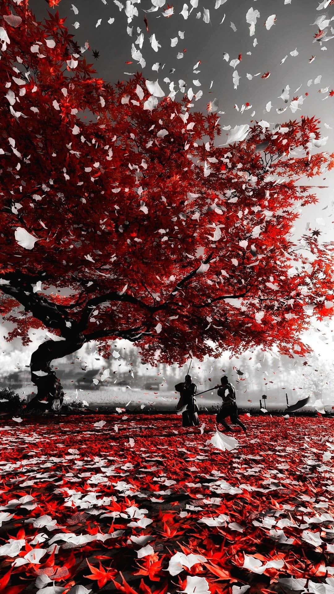一棵紅樹，落葉飄落 壁紙