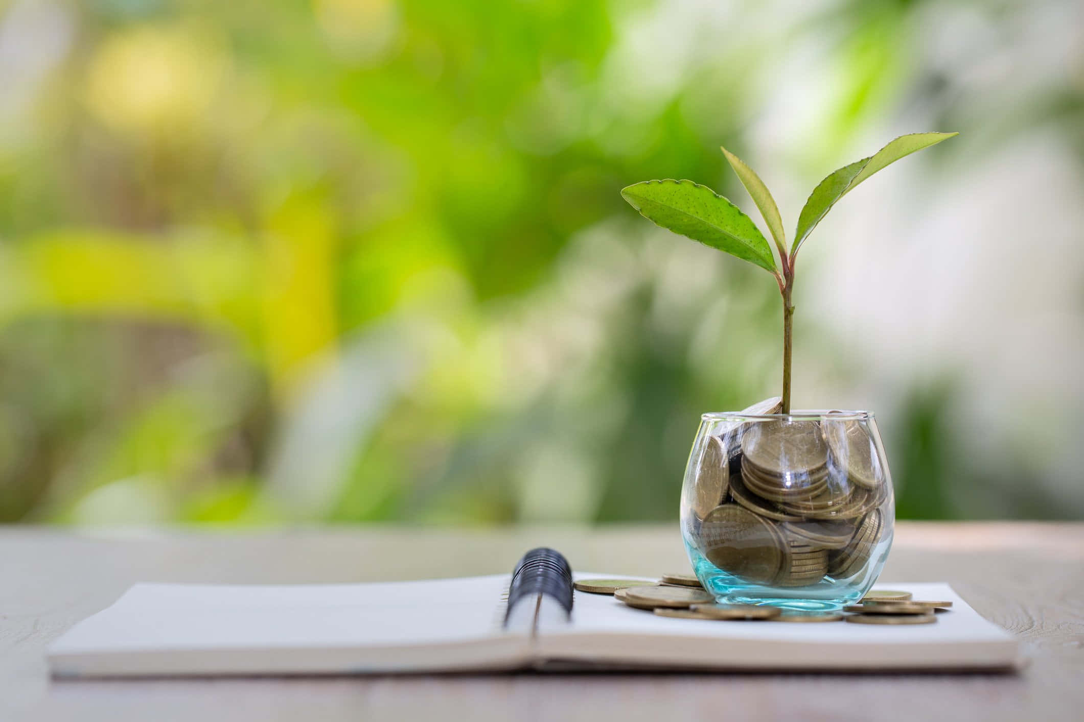 Green Finance 桌布 壁紙 — 一棵綠色嫩苗從玻璃罐中的硬幣裡長出，旁邊放著一本打開的筆記本和一支筆在木桌上。