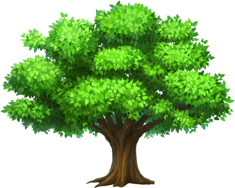 Trees Clipart 桌布 壁紙 — 一棵茂密的綠色樹木，有著粗壯的棕色樹幹和充滿活力的葉子形成的完整樹冠，孤立地立在黑色背景上。
