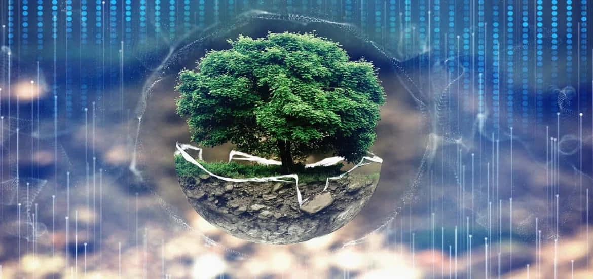 樹木 桌布 壁紙 — 一棵茂盛的綠色樹木生長在一個漂浮的裂開地球儀上，周圍環繞著數位數據流和發光的藍色線條。
