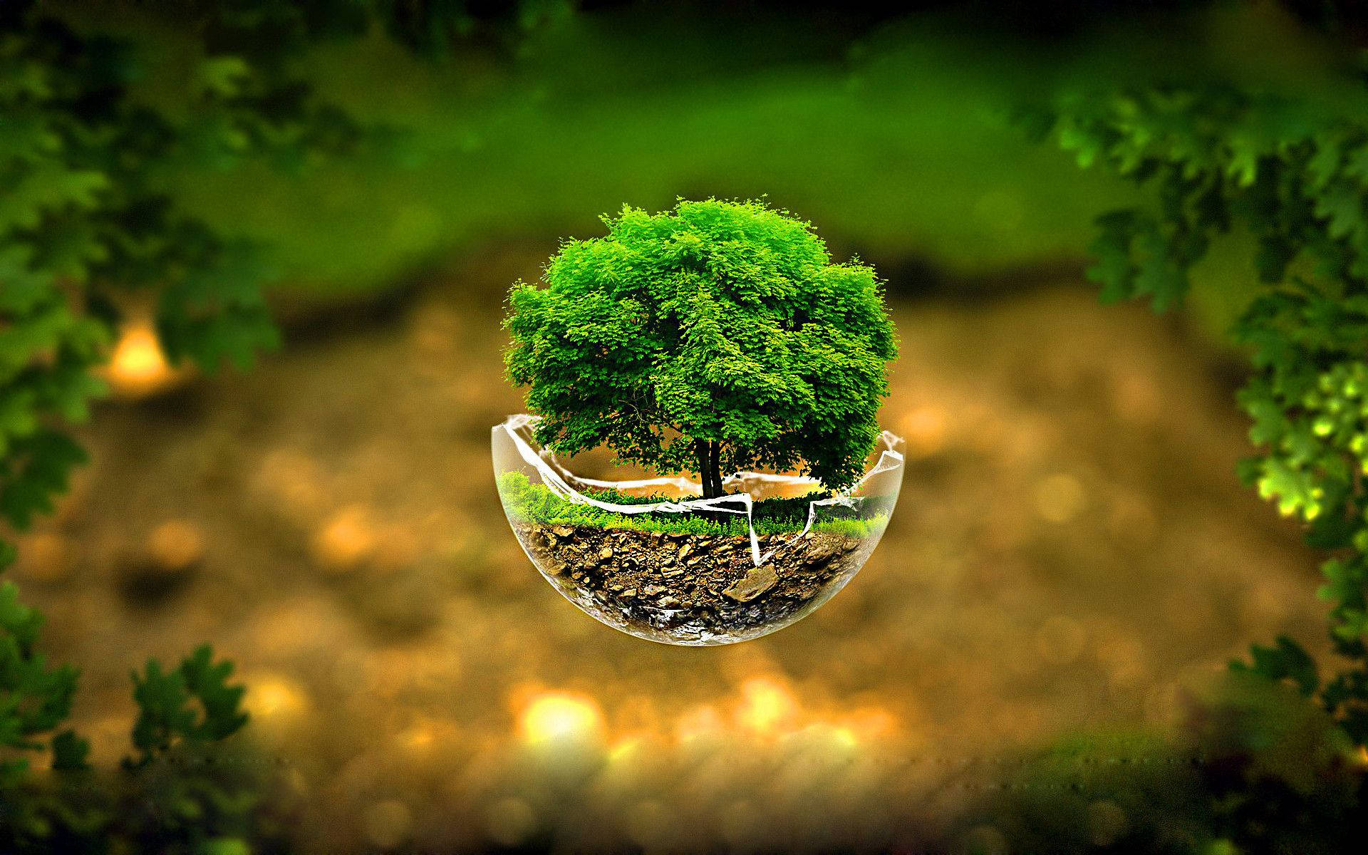 3D 桌布 壁紙 — 一棵茂盛的綠色樹木生長在一個透明的泡泡內，懸浮在一個帶有金色散景燈光的模糊森林中。
