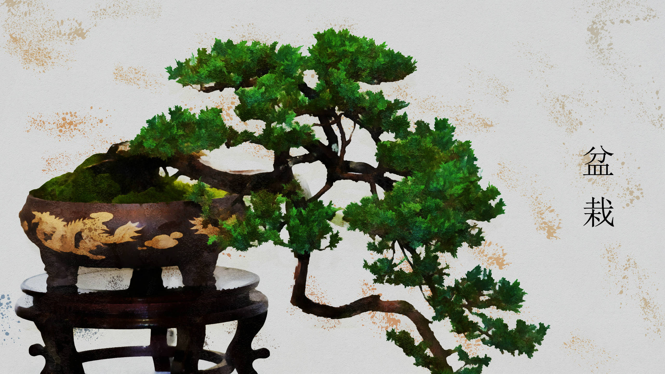 Plant 桌布 壁紙 — 一棵茂盛的綠色盆景樹，樹枝彎曲，放在一個帶有金色龍紋的華麗深色花盆中，置於木架上，背景為有紋理的米白色。