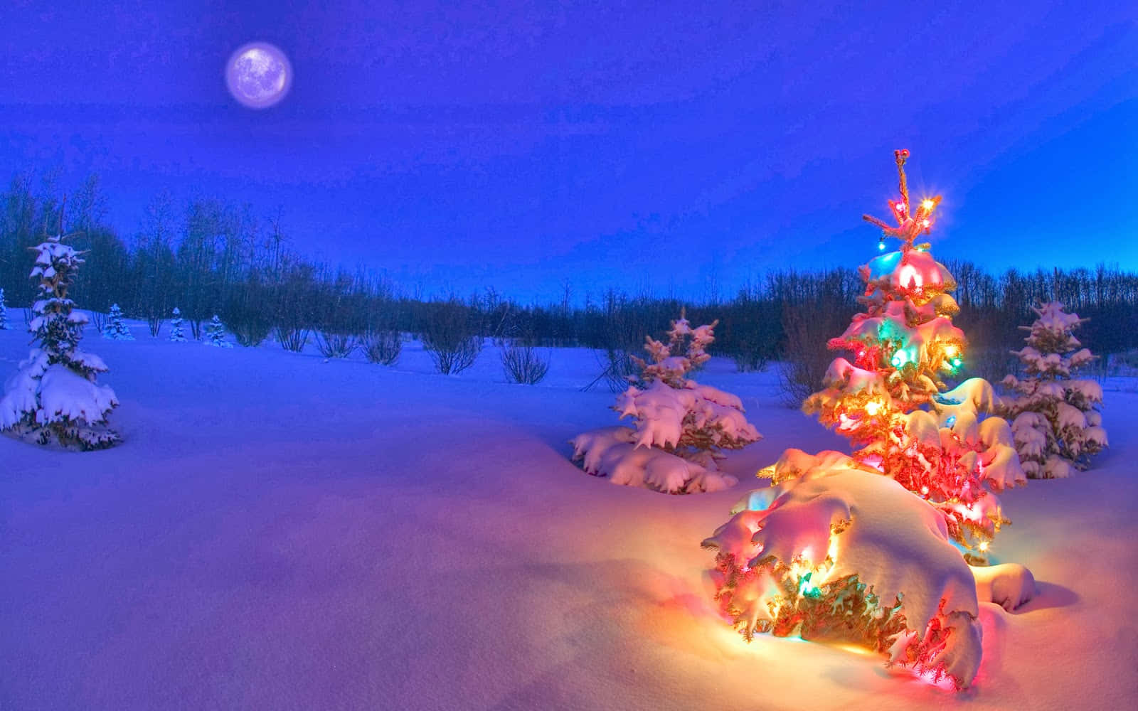 聖誕節 桌布 壁紙 — 一棵被雪覆蓋的常青樹在滿月下，在寧靜的冬季景觀中閃爍著五彩繽紛的燈光。