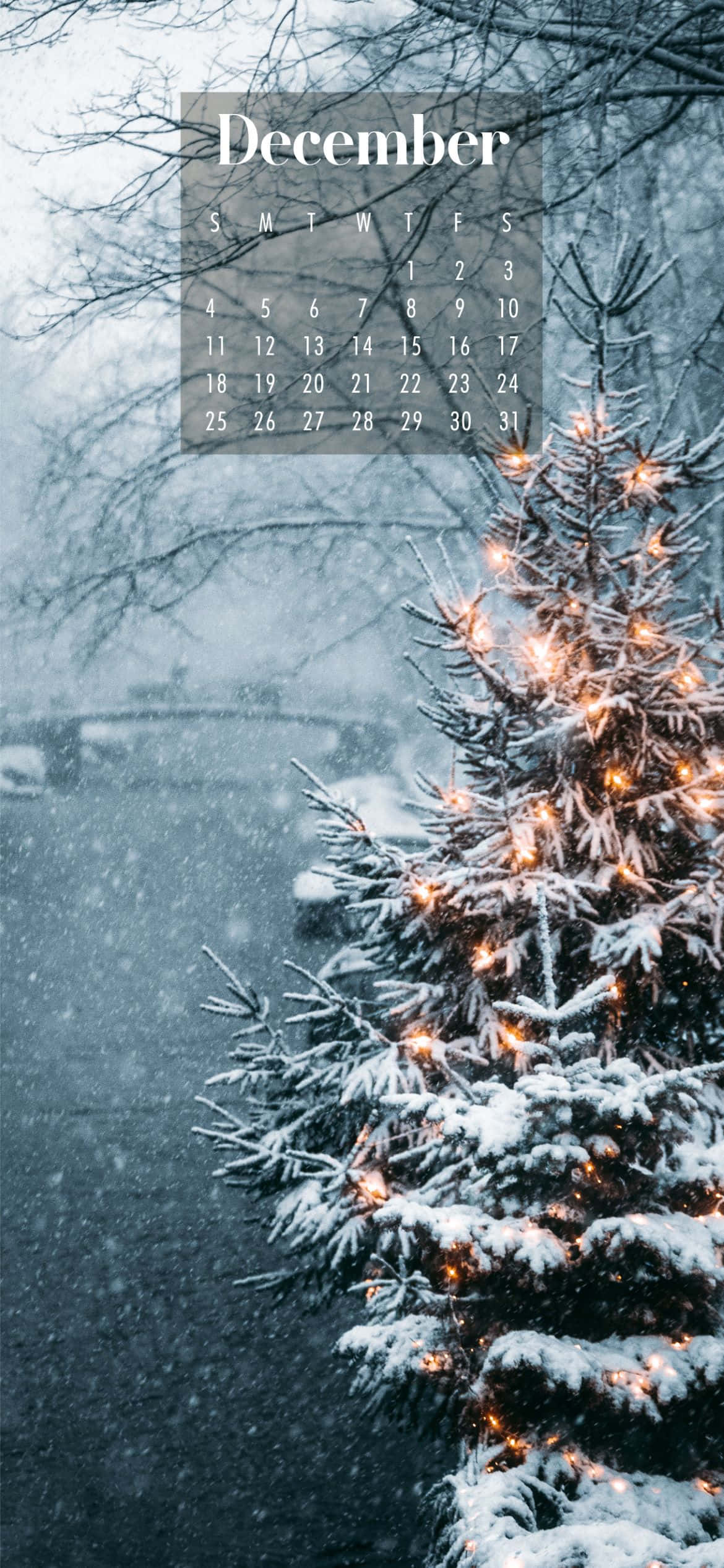 Cute December 桌布 壁紙 — 一棵被雪覆蓋的常青樹裝飾著發光的燈光，矗立在帶有十二月日曆疊加的冬季場景中。