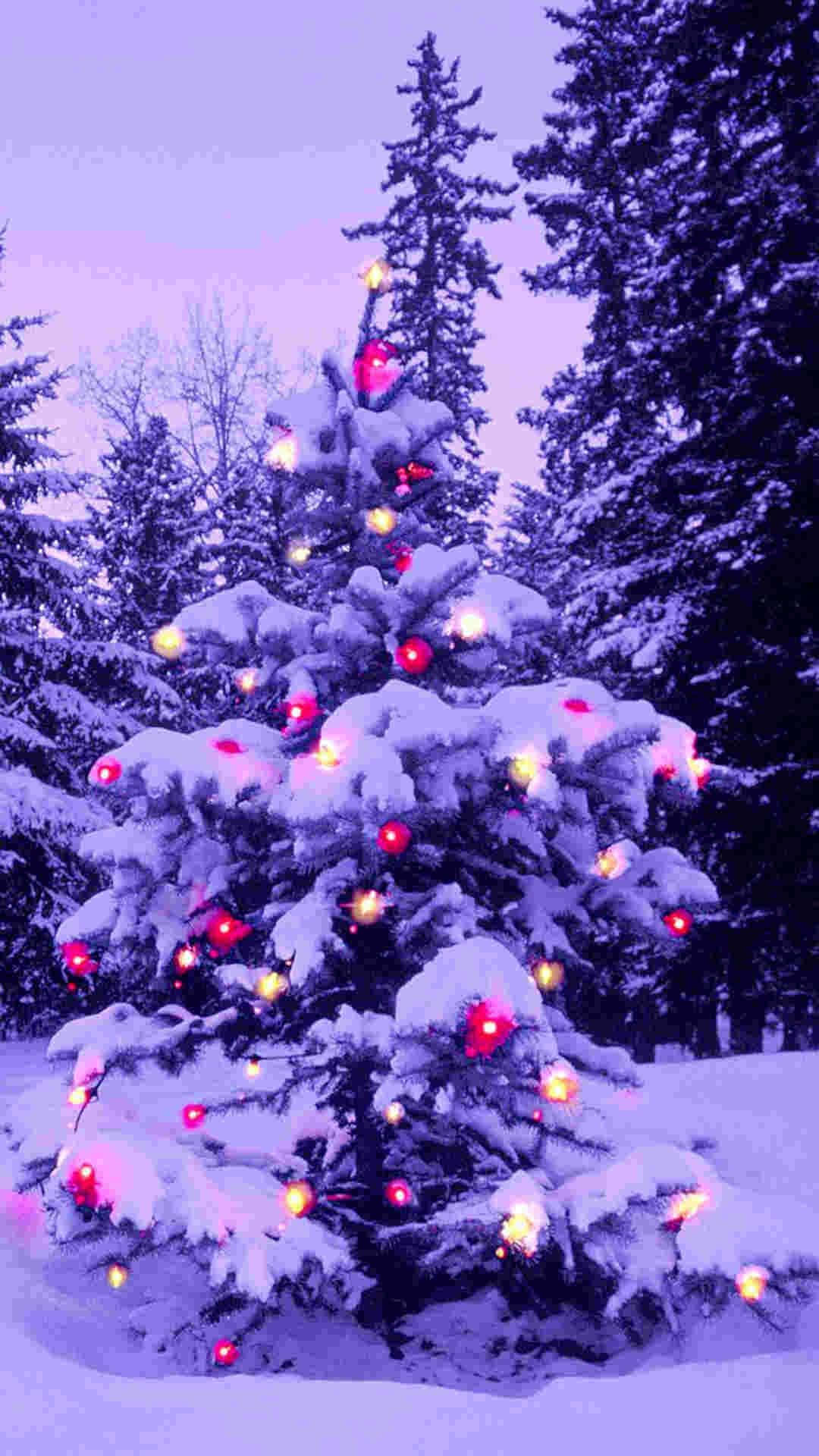 Christmas Tree iPhone 桌布 壁紙 — 一棵被雪覆蓋的松樹，在紫色的暮色天空中閃爍著紅色和黃色的燈光。