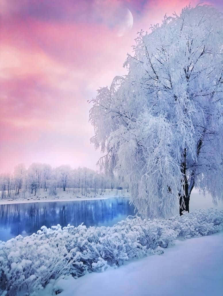 Snow 4K 桌布 壁紙 — 一棵被雪覆蓋的樹矗立在結冰的湖邊，天空呈現粉紅和紫色的暮色，掛著一彎新月。
