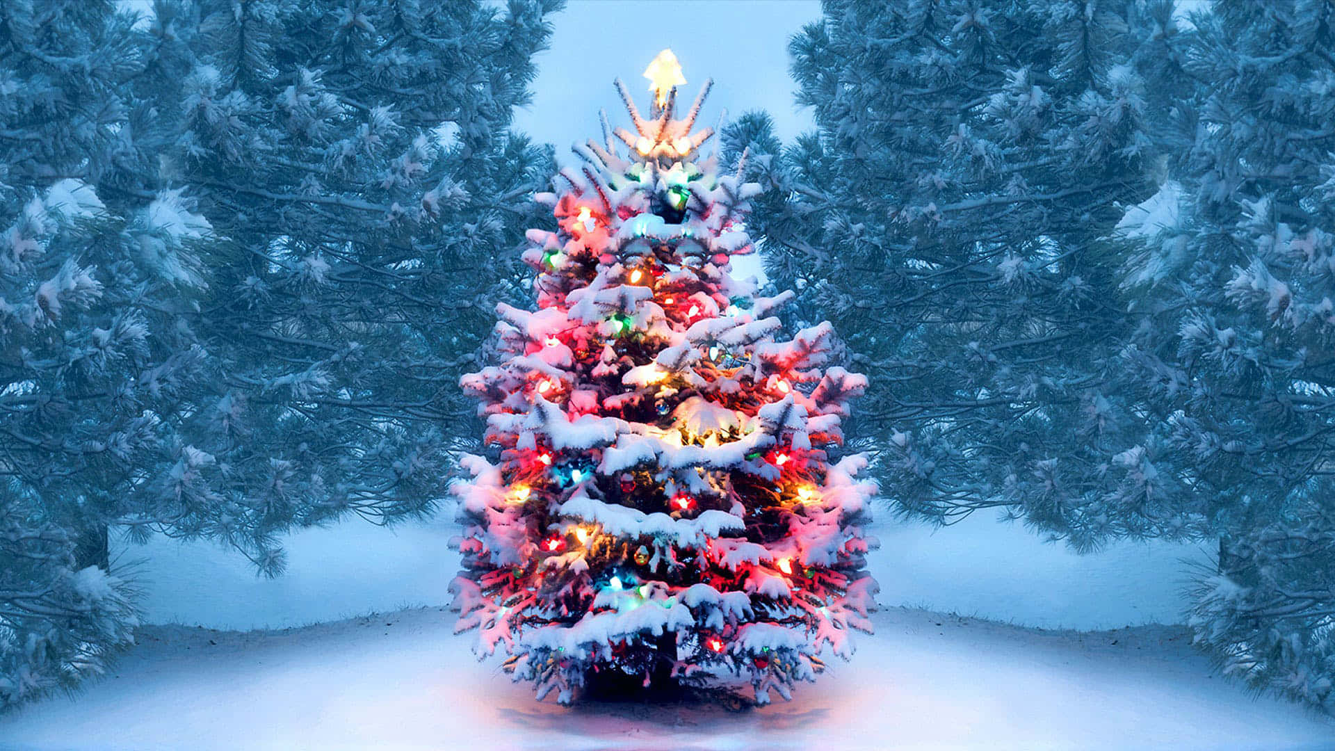 Christmas Snow 桌布 壁紙 — 一棵被雪覆蓋的聖誕樹，裝飾著五彩繽紛的燈光，在暮色天空下，在雪松之間溫暖地閃耀。