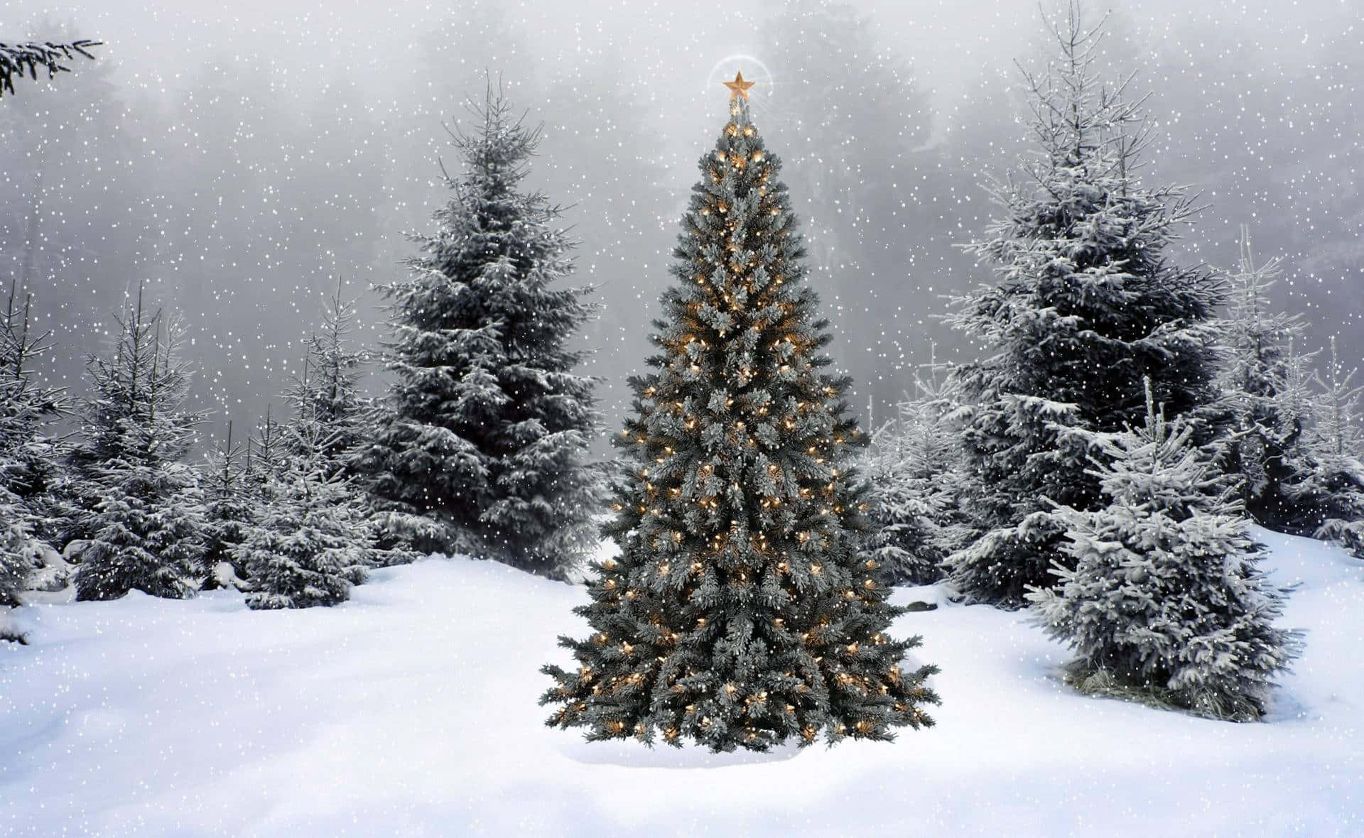 Winter Christmas Desktop 桌布 壁紙 — 一棵被雪覆蓋的聖誕樹，裝飾著溫暖的燈光和星星，在飄雪的雪地森林中閃閃發光。