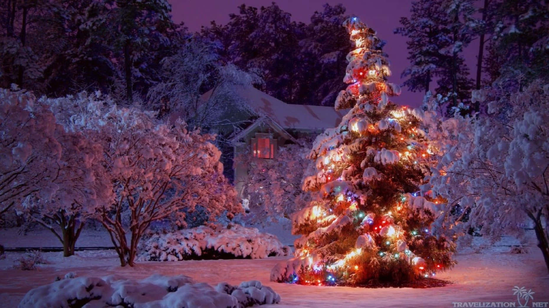Winter Christmas Desktop 桌布 壁紙 — 一棵被雪覆蓋的聖誕樹，閃爍著五彩燈光，夜晚矗立在雪地庭院中，背景有房屋和樹木。