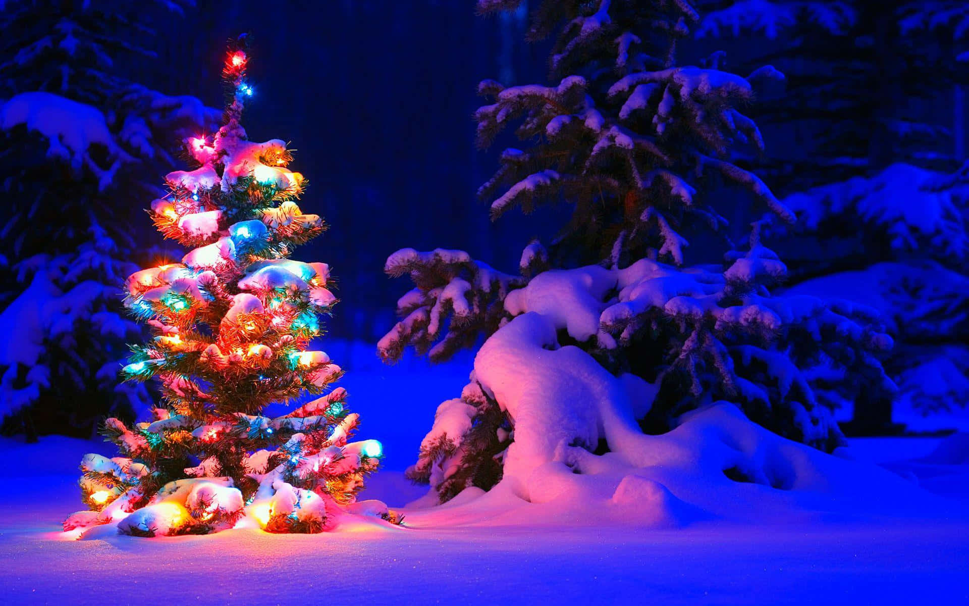 Cool Christmas 桌布 壁紙 — 一棵被雪覆蓋的聖誕樹，閃爍著五彩繽紛的燈光，矗立在夜晚的雪地森林中。