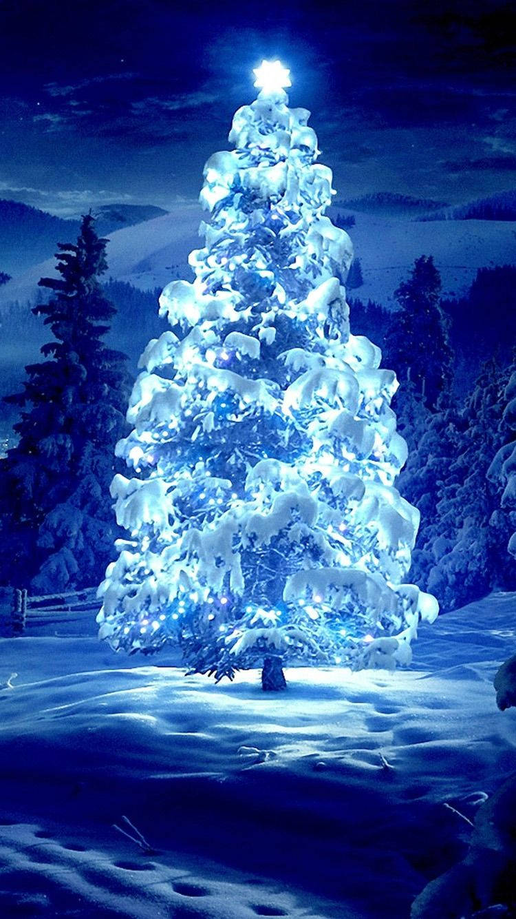 Christmas Lights iPhone 桌布 壁紙 — 一棵被雪覆蓋的聖誕樹在雪地森林的星空下閃耀著明亮的藍色燈光。