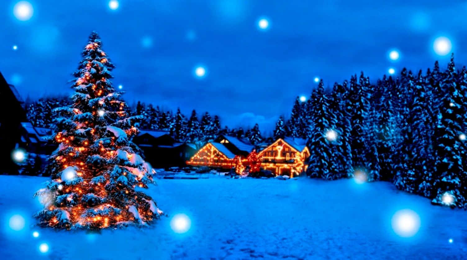Winter Christmas Desktop 桌布 壁紙 — 一棵被雪覆蓋的聖誕樹散發著溫暖的光芒，矗立在舒適的小木屋前，背景是繁星點點的冬夜天空。