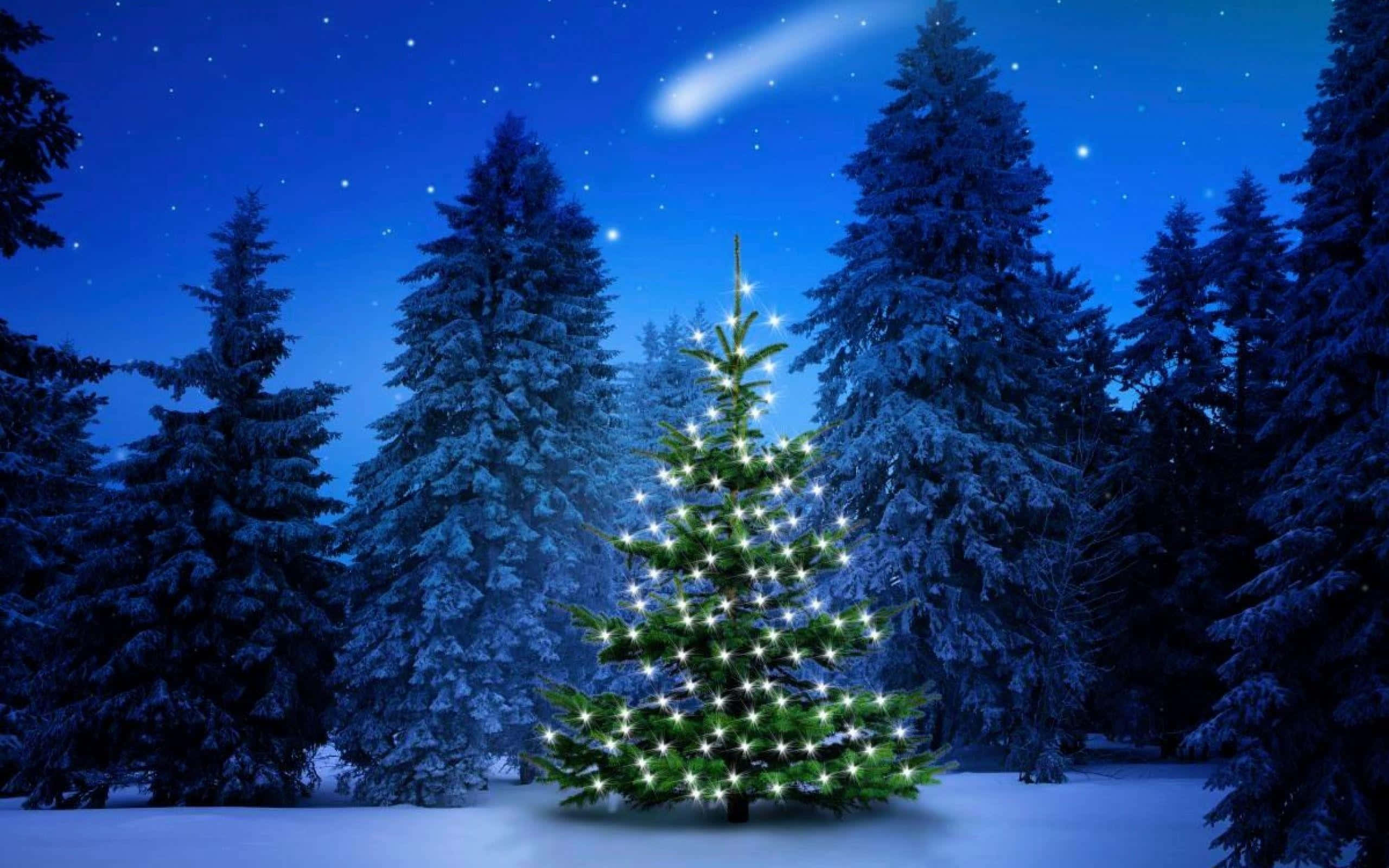 Christmas Snow 桌布 壁紙 — 一棵被雪覆蓋的聖誕樹閃爍著明亮的光芒，矗立在雪地森林中，夜空繁星點點，還有一顆流星。
