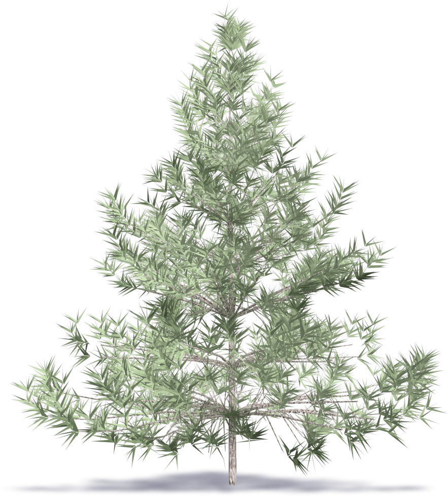 Artificial Christmas Tree 桌布 壁紙 — 一棵詳細的 3D 渲染針葉樹，帶有尖刺的綠色針葉，孤立地立在黑色背景上。